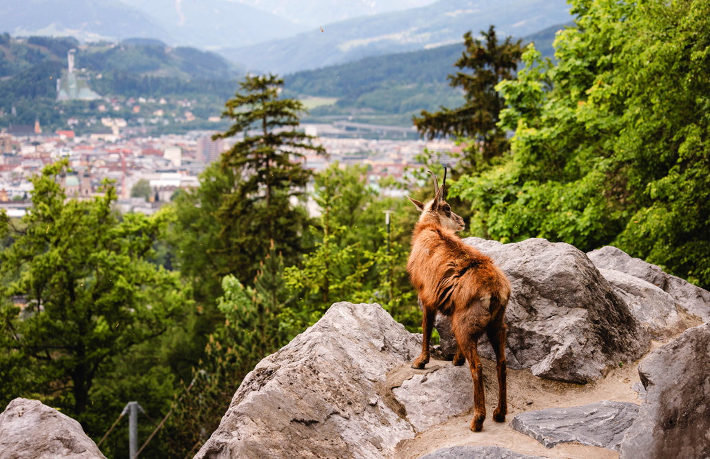 Innsbruck