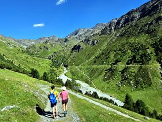 Ortler