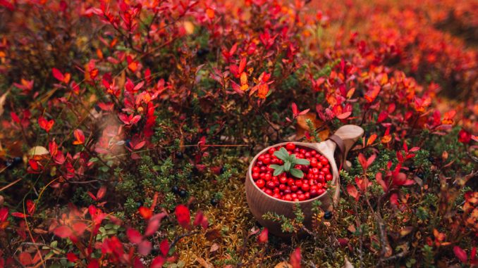 Ruska