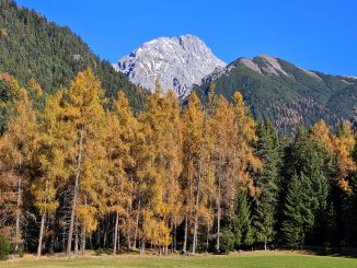 Mieminger Plateau